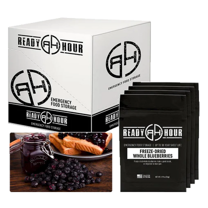 Ready Hour Freeze-Dried Blueberries